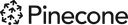 Pinecone Vector Database